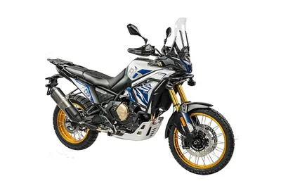 Voge Rally DS800X Rally Aktionspreis