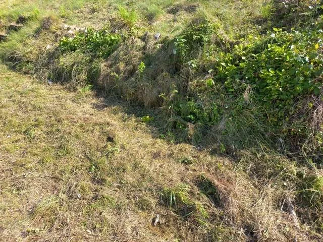 Preisgünstiges charmantes Baugrundstück in Schalchen - Ansicht 2