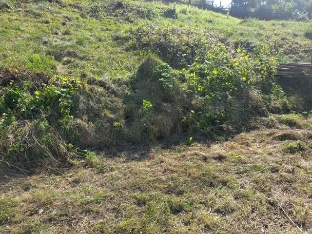 Preisgünstiges charmantes Baugrundstück in Schalchen - Ansicht 3