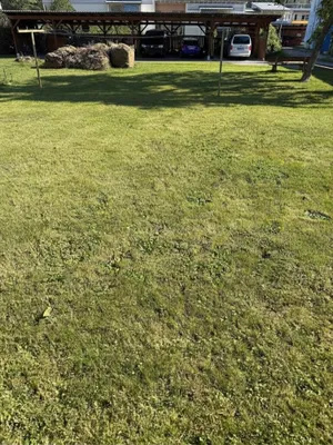 Wohnung kaufen in Bruck-Mürzzuschlag – 77 m², € 120.000 – Bild 16 von 23