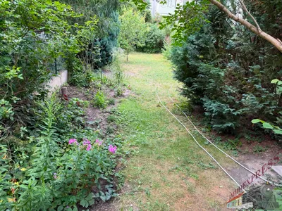 2-Zimmer Erdgeschoß- Wohnung in der Gerstlgasse mit Gartennutzung- Haustiere willkommen! – Bild 2