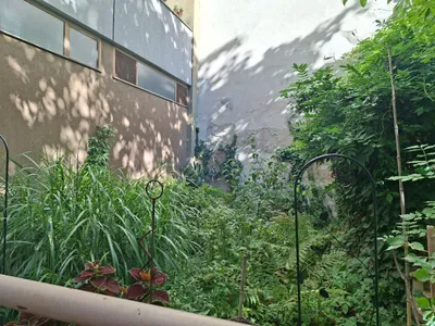 3-Zimmer-Wohnung mieten in Wien – 75 m², € 550 – Bild 22 von 48