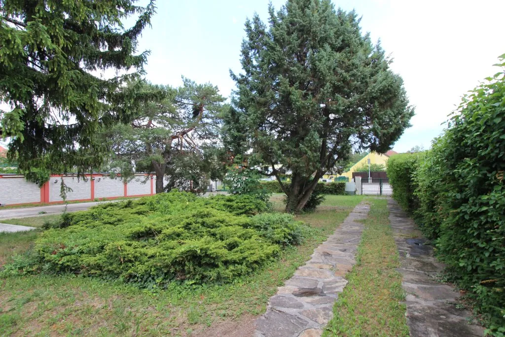 Sonderpreis! Haus mit riesigem Grundstück (2.183 m²) nahe Fischapark - Ansicht 3