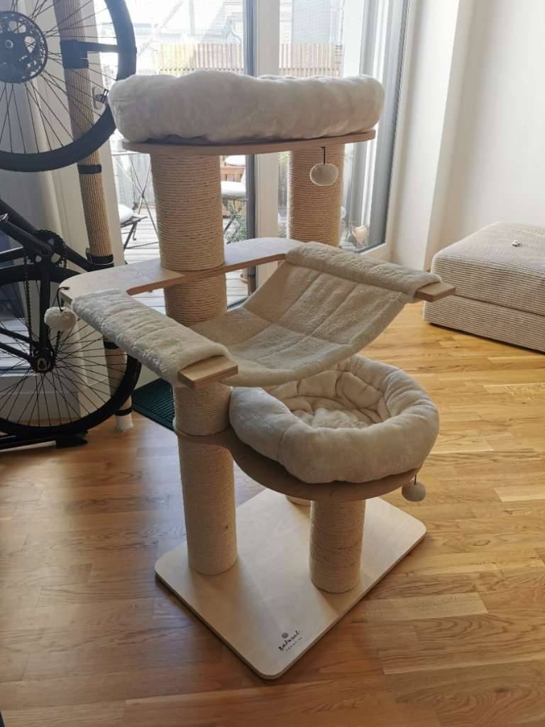 hundemantel loden 💚Hundemantel für Dackel | 100% Schurwolle main image 0