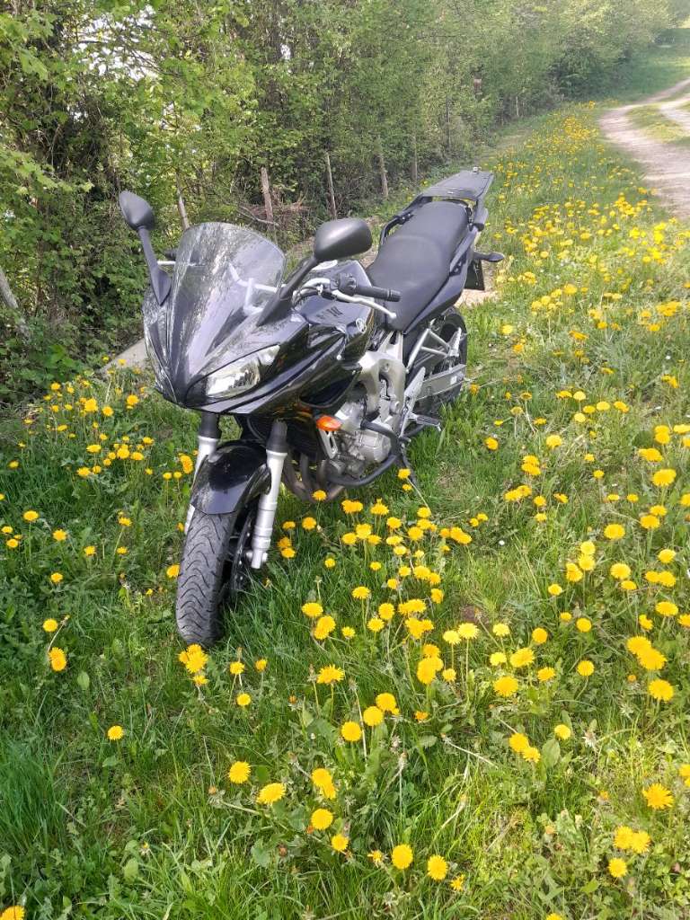 Yamaha FZS fazer fz6-sa Tourer