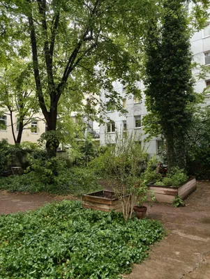 Untermiete in schöner Altbauwohnung 4. Bezirk – Bild 3