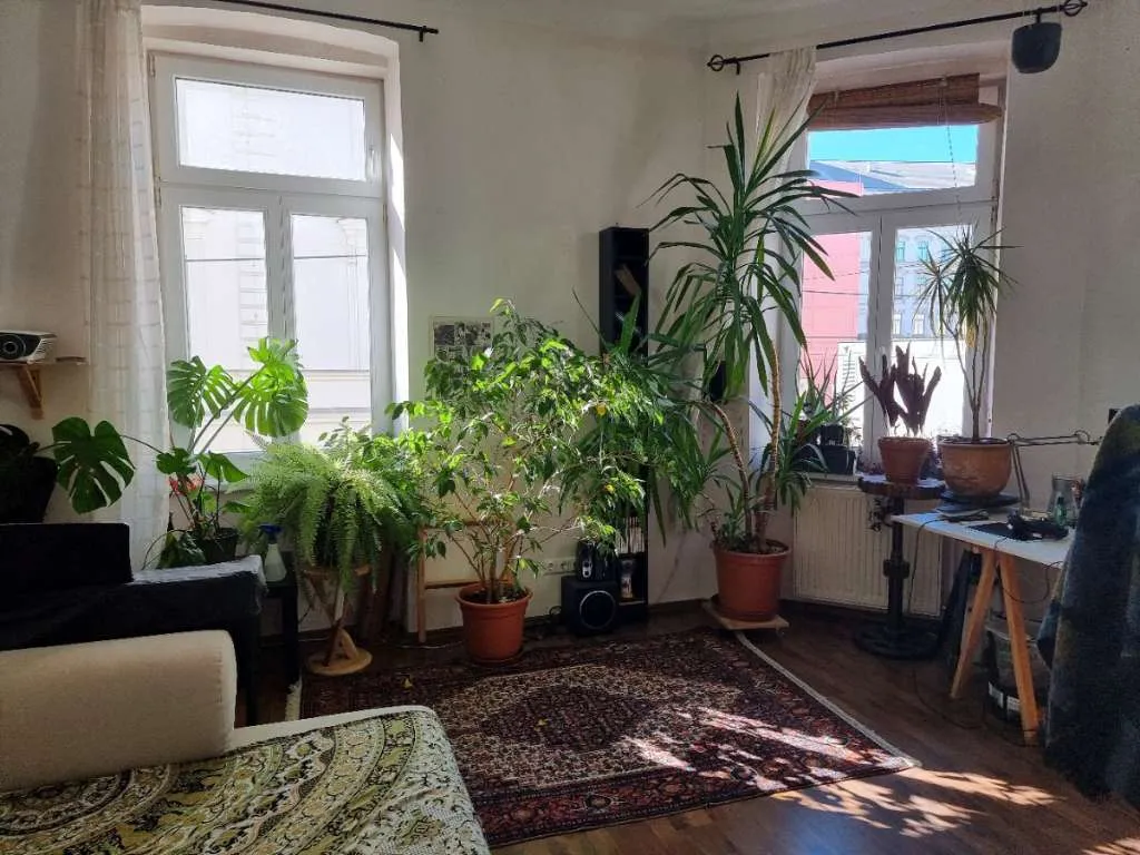 Kühle und helle Wohnung mit perfekter Aufteilung - Provisionsfrei, Wien