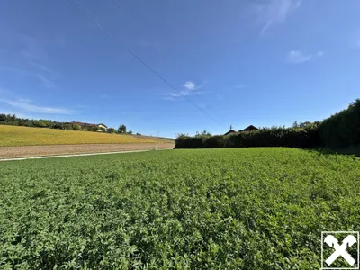 Grundstück kaufen in Wels-Land – 800 m², € 148.000 – Bild 2 von 9