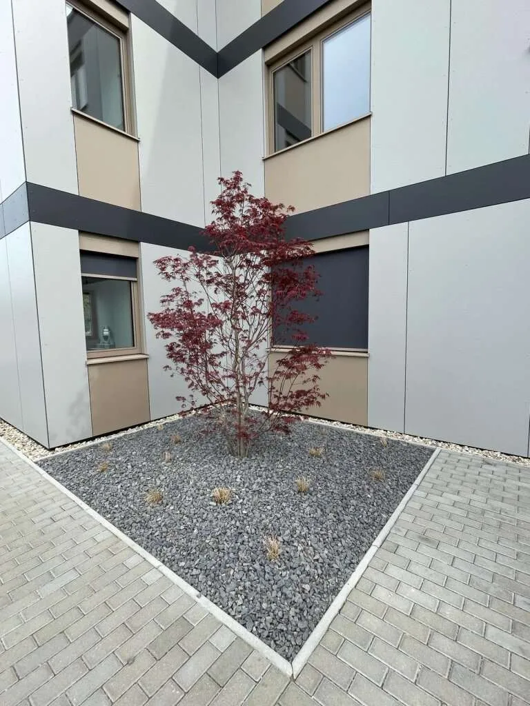 Wohnung – Achau - Ansicht 3