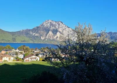 Wohnung mieten in Gmunden – 57 m², € 700
