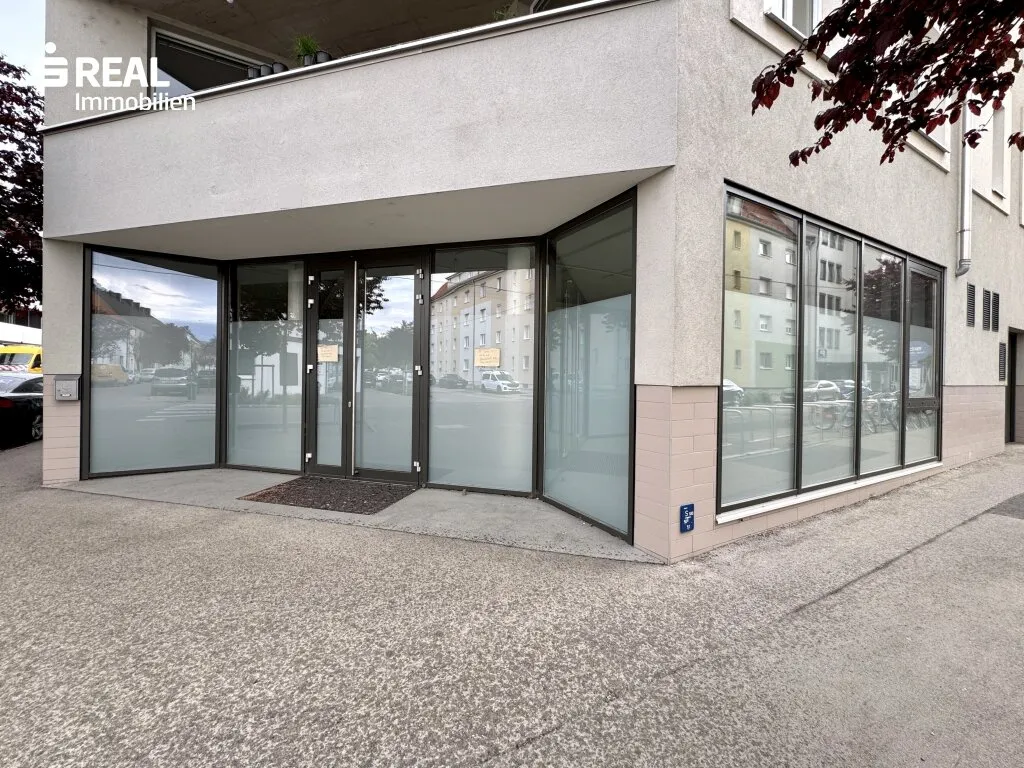Geschäfts- /Ordinations- /Bürofläche zwischen Bahnhof und Uniklinikum - Ansicht 2