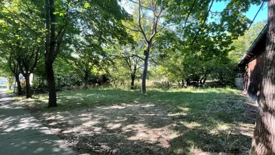 Grundstück kaufen in Wiener Neustadt Land – 1 285 m², € 439.000 – Bild 1 von 11