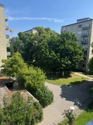 3-Zimmer-Wohnung mieten in Wien – 90 m², € 1.950 – Bild 9 von 9