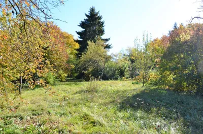 2-Zimmer-Wohnung mieten in Baden – 49 m², € 600 – Bild 6 von 7
