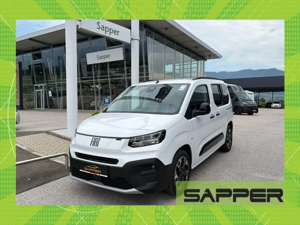 Fiat Sonstige