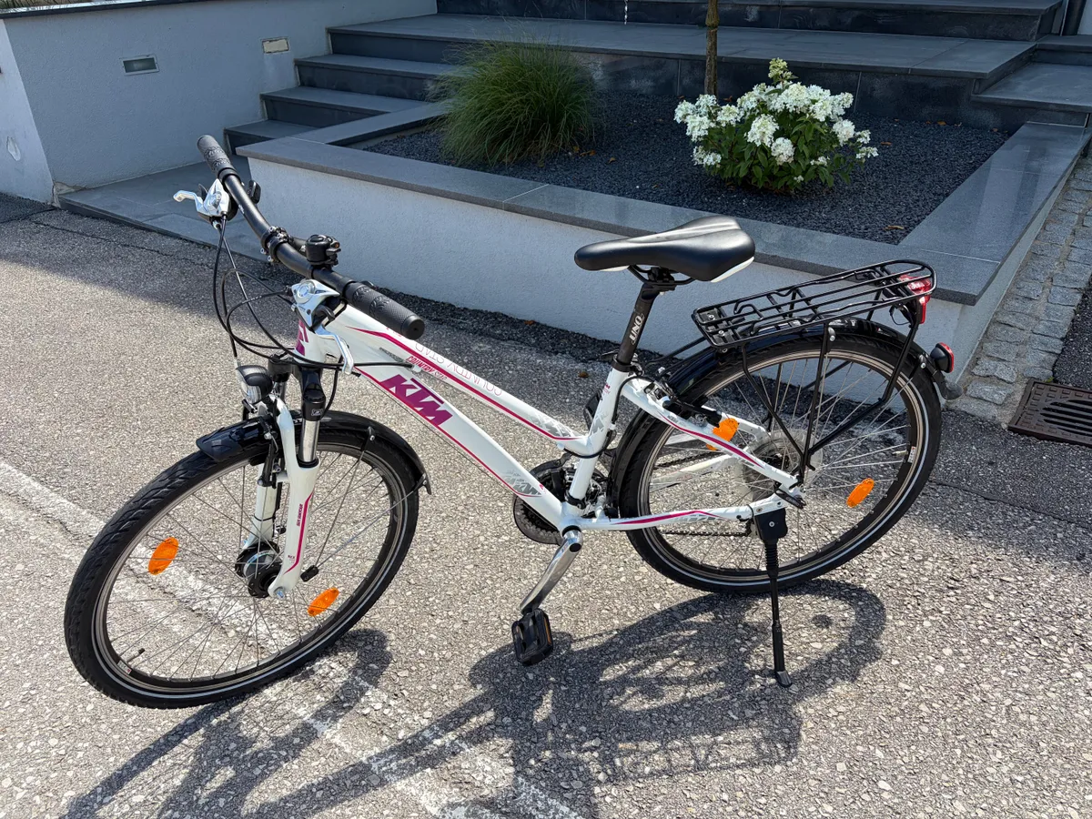 elektrische kurbel markise ausziehbare Braun 3,5 x 2 m, motorisierte und manuelle Kurbel, wasserabweisendes Polyester mit PU-Beschichtung, pulverbeschichteter Stahl- und Aluminiumrahmen Garden Brand: BBE Glamping-Resorts mit Bootsverleih in Style:250ES RED
