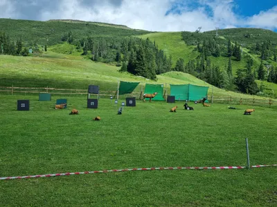 16-Zimmer-Gewerbeimmobilie kaufen in Liezen – 800 m², € 1.290.000 – Bild 22 von 23