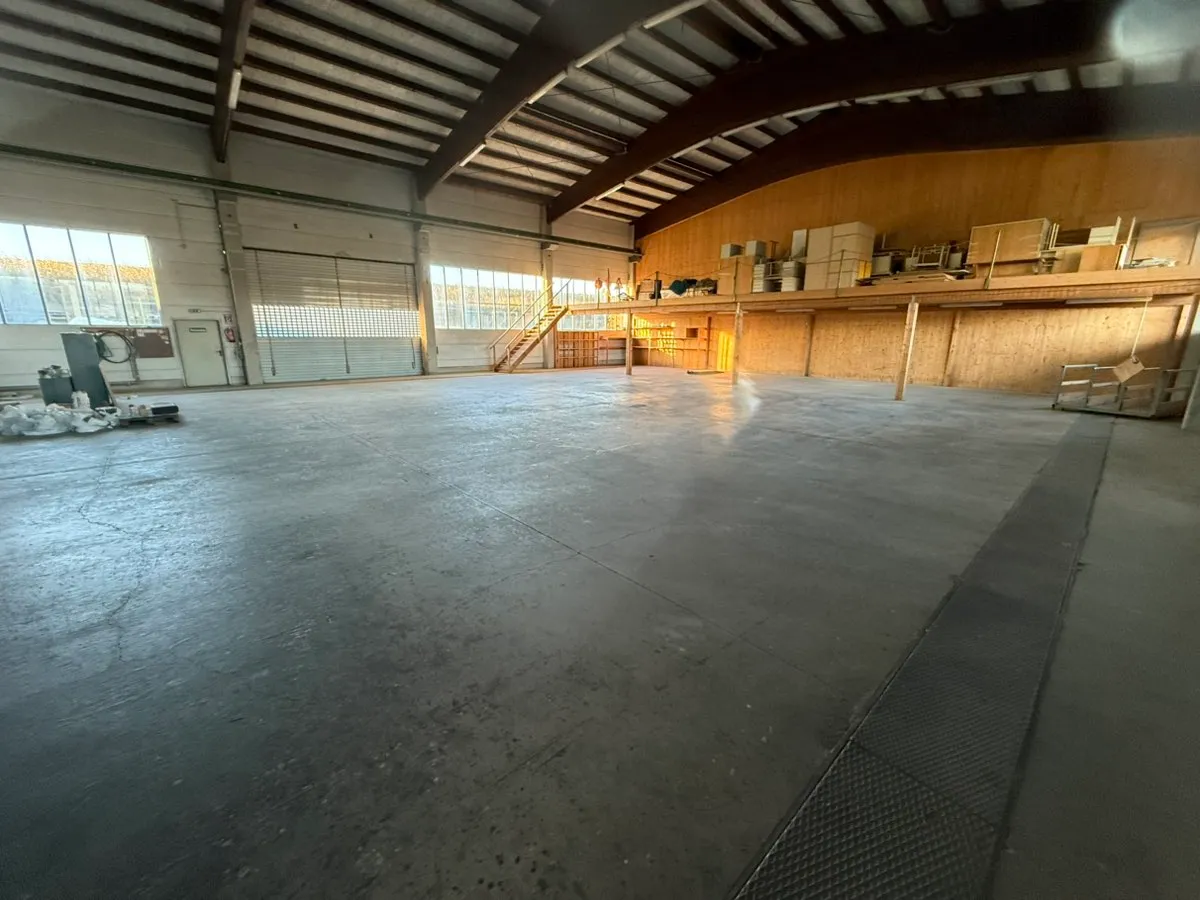 TOP Gewerbeparadies bei St. Pölten: Beheizte Hallenboxen (120m²-480m²) mit 5t-Kran, Büro & Freifläche! - Ansicht 3