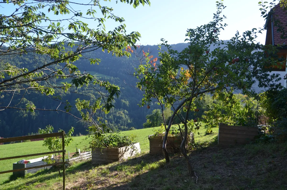 Sonniges Refugium mit Weitblick: Modernisiertes Landhaus mit Einliegerwohnung nahe Bad Schwanberg – pohled 3