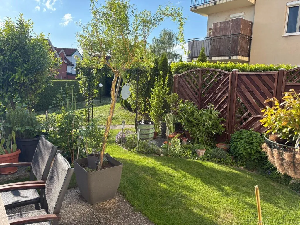 Wohnung – Bruck an der Leitha - Ansicht 3