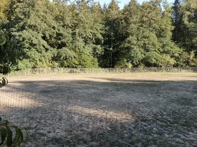 Immobilie kaufen in Jennersdorf – 200 m², € 285.000 – Bild 16 von 17