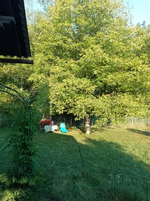 Immobilie kaufen in Jennersdorf – 200 m², € 285.000 – Bild 10 von 17