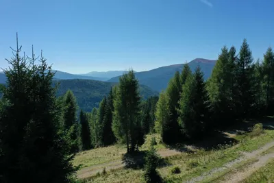 Grundstück kaufen in Murau – 127 000 m² – Bild 7 von 16