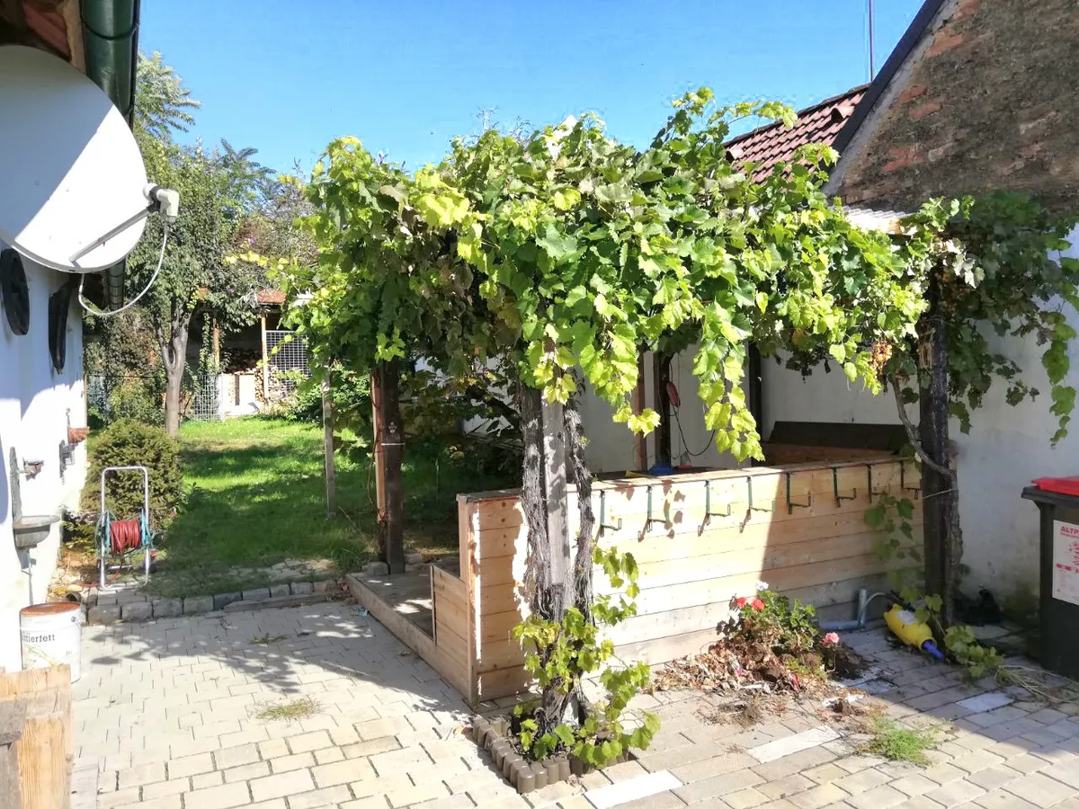 Haus – Katzelsdorf - Ansicht 2