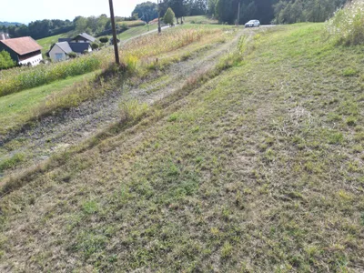 Grundstück kaufen in Südoststeiermark – 92 000 m², € 399.000 – Bild 7 von 11