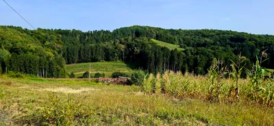 Grundstück kaufen in Südoststeiermark – 92 000 m², € 399.000 – Bild 2 von 11