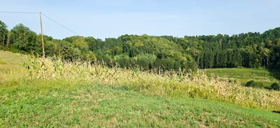 Grundstück kaufen in Südoststeiermark – 92 000 m², € 399.000