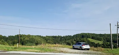 Grundstück kaufen in Südoststeiermark – 92 000 m², € 399.000 – Bild 3 von 11