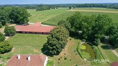Immobilie kaufen in Leibnitz – 600 m² – Bild 14 von 29