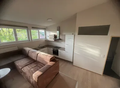 Gemütliche, vollständig möblierte 2-Zimmer-Wohnung in zentraler Lage in Elixhausen., photo 3
