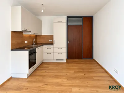 1-Zimmer-Wohnung mieten in Salzburg Stadt – 29 m², € 955 – Bild 3 von 12