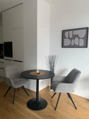 2-Zimmer-Wohnung mieten in Rohrbach – 47 m², € 1.128 – Bild 5 von 18
