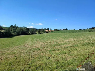 4-Zimmer-Haus kaufen in Wiener Neustadt Land – 104 m², € 229.000 – Bild 20 von 20
