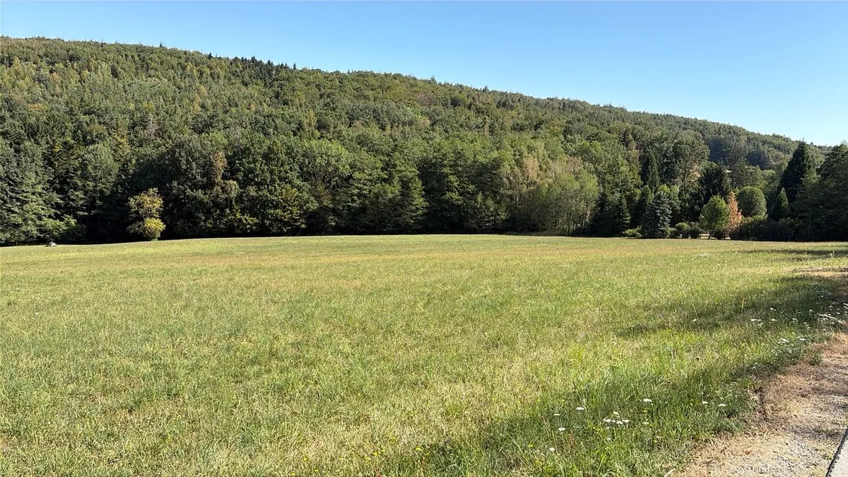 Landwirtschaftliche Fläche und Wald mit 2 Brunnen