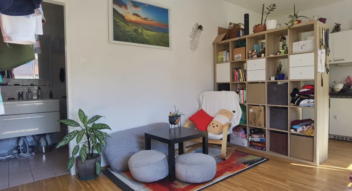 Einzimmerwohnung Nähe Uni und Natur, Mariatrost