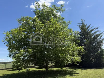 4-Zimmer-Haus kaufen in Neunkirchen – 170,42 m², € 570.000 – Bild 6 von 21