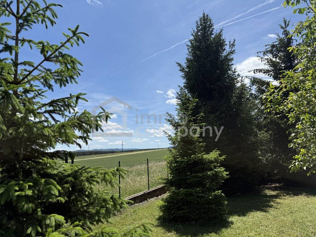 Wohnen mit Weitblick - gepflegtes Einfamilienhaus mit Wellnessbereich, Photovoltaik und 1.268 m² Grundstück - Ansicht 3