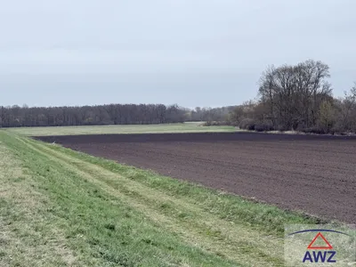 Grundstück kaufen in Gänserndorf – 45 228 m² – Bild 3 von 3