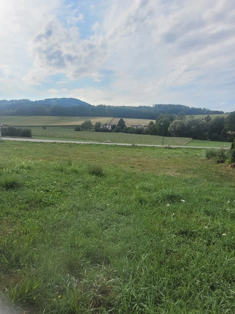Baugrundstück Schallaburg - Ansicht 3