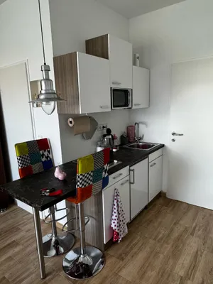 1-Zimmer-Immobilie mieten in Linz Land – 25 m², € 495 – Bild 1 von 6