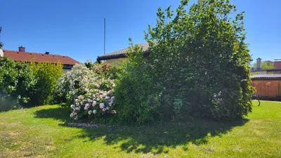 1-Zimmer-Haus kaufen in Neusiedl am See – 35 m², € 129.000 – Bild 41 von 48