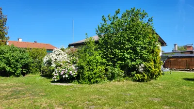 1-Zimmer-Haus kaufen in Neusiedl am See – 35 m², € 129.000 – Bild 6 von 48