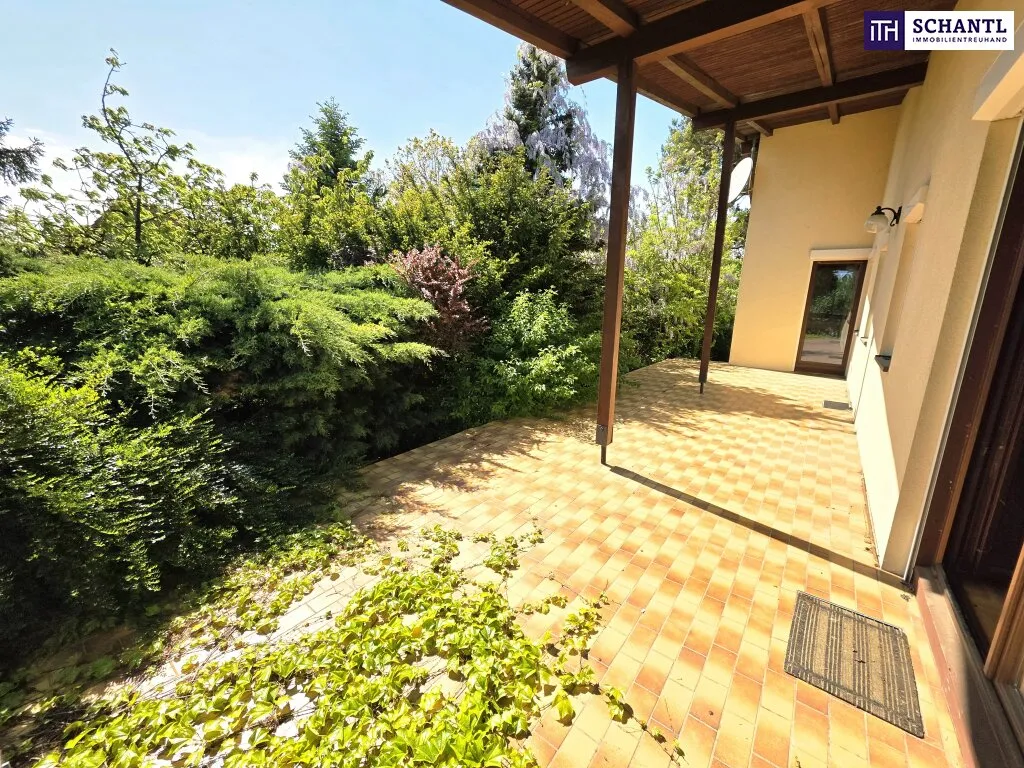 Ein Haus wie ein Sonntag - Sonnig, ruhig und voller Möglichkeiten! Tolle Ruhelage mit Süd-West Ausrichtung + 6 Zimmer + Großer Keller + Terrasse + Garage! – pohled 3