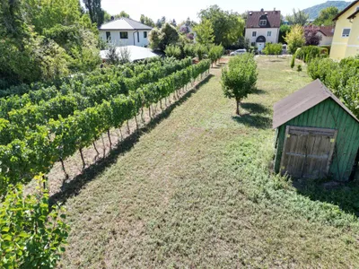 Grundstück kaufen in Korneuburg – 1 335 m², € 1.199.000 – Bild 3 von 5