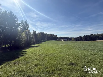 Grundstück kaufen in Freistadt – 12 412 m², € 40.000 – Bild 2 von 2