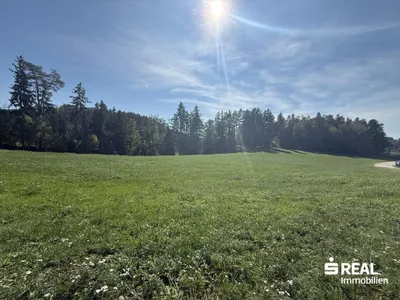 Grundstück kaufen in Freistadt – 12 412 m², € 40.000 – Bild 1 von 2